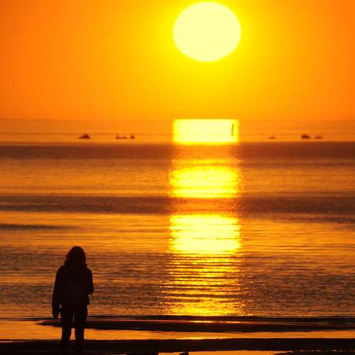 Photo #8298143