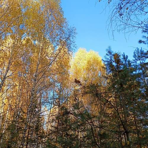 Photo #8298177