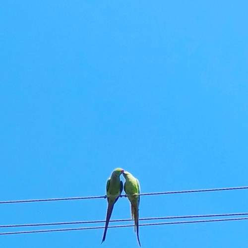 Photo #8298579