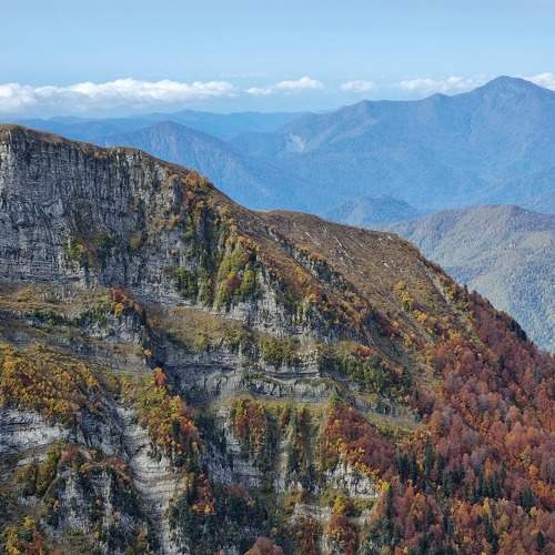 Photo #8298962