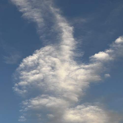 Photo #8299155