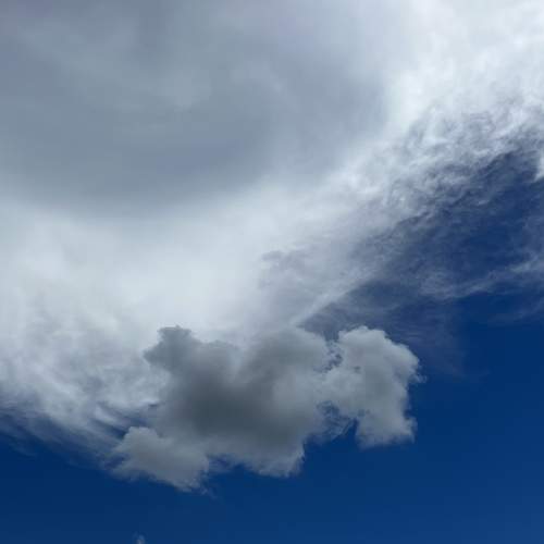 Photo #8299156