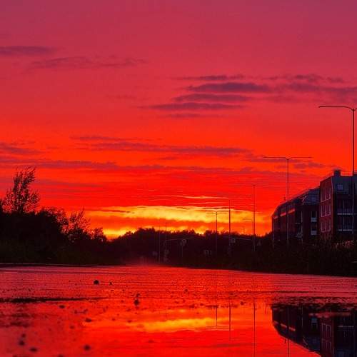 Photo #8299165