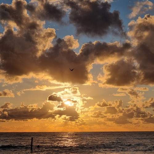 Photo #8299168
