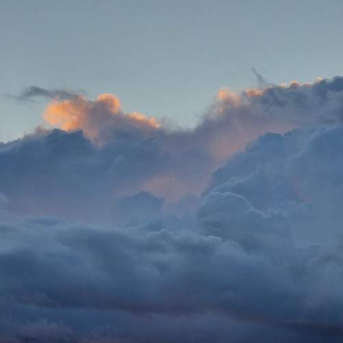 Photo #8299174