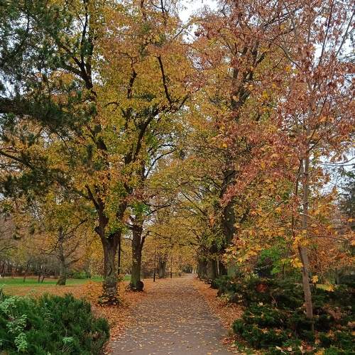 Photo #8299394