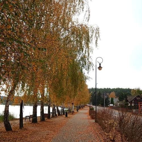 Photo #8299395