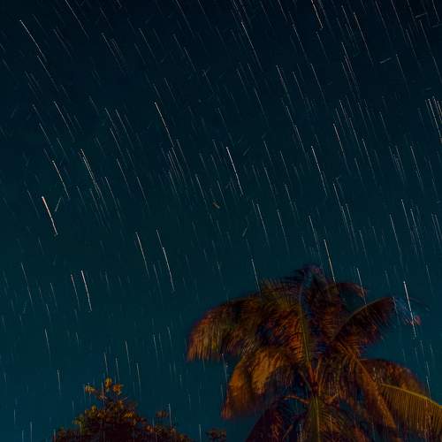 Photo #8300002
