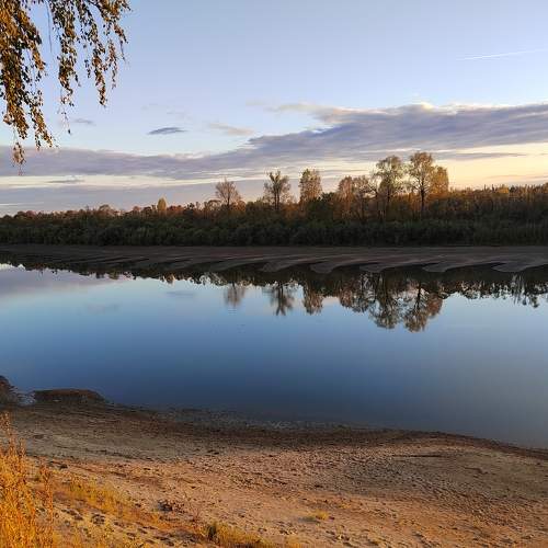 Photo #8300443
