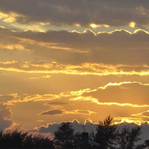Photo #8300692