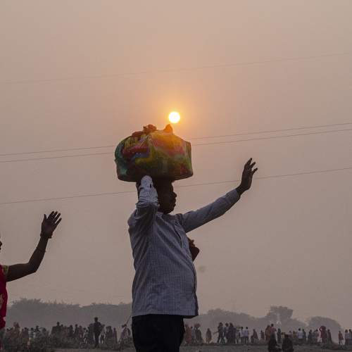Photo #8300785