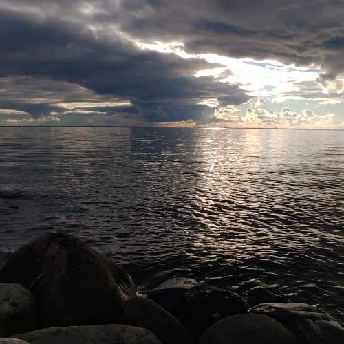 Photo #8301096