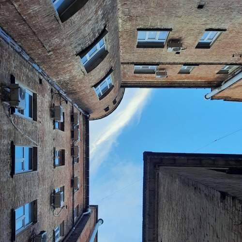 Photo #8301165