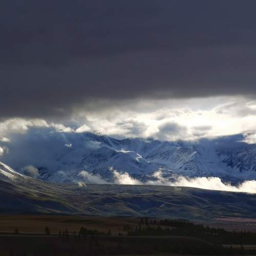 Photo #8301333