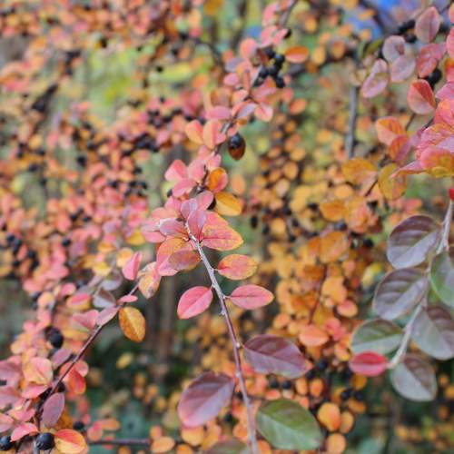 Photo #8301461