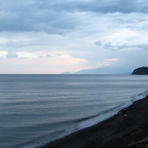 Photo #8301483