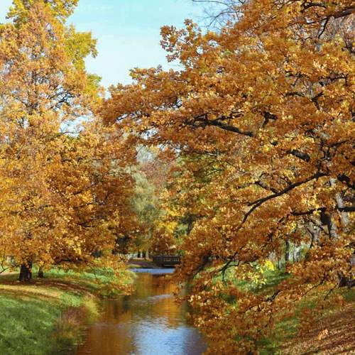 Photo #8301506