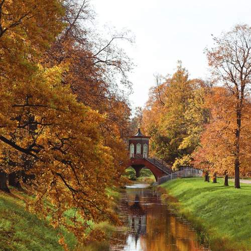 Photo #8301508
