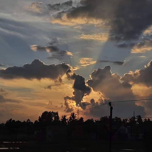 Photo #8301525