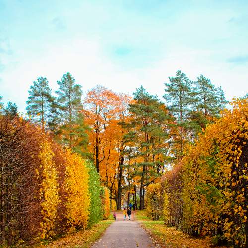 Photo #8301548