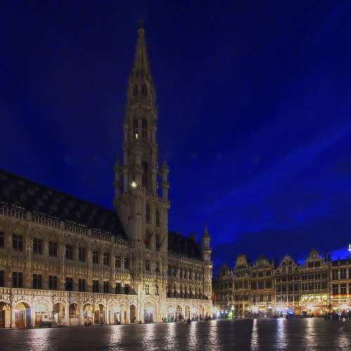 Photo #8301735