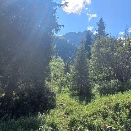 Photo #8301760
