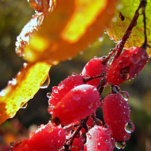 Photo #8301807