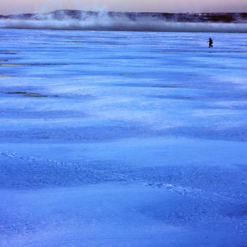 Photo #8301865
