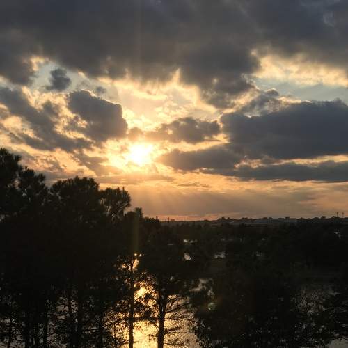 Photo #8302003
