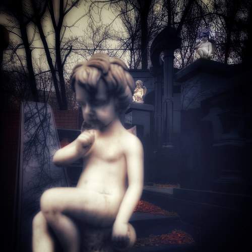 Photo #8302595