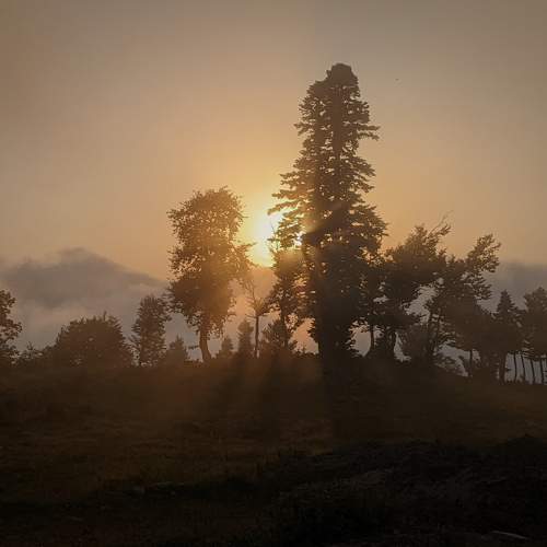 Photo #8303048