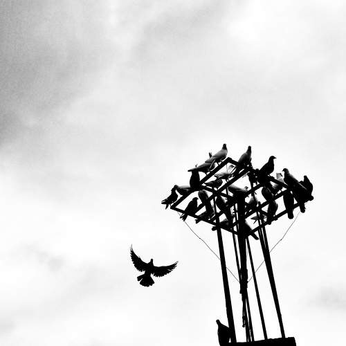 Photo #8303340