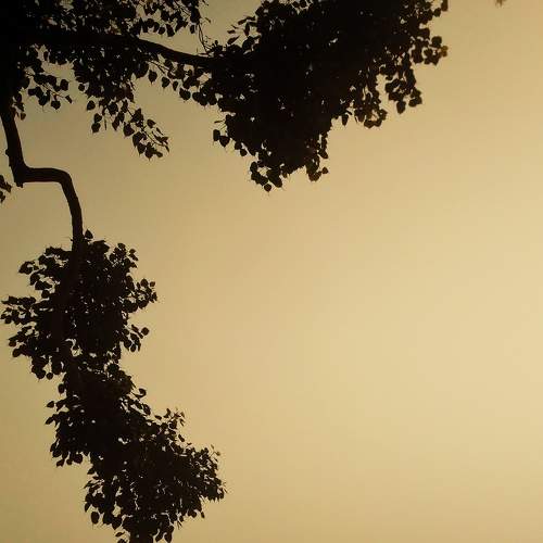 Photo #8303348