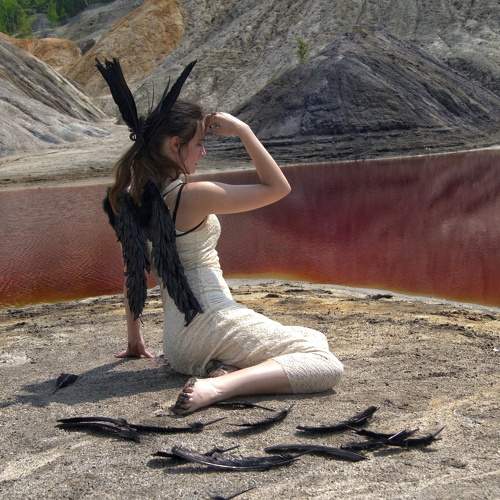 Photo #8303603