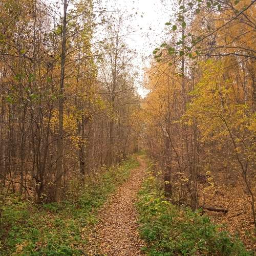 Photo #8303790