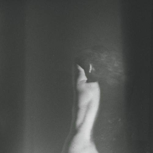 Photo #8304712