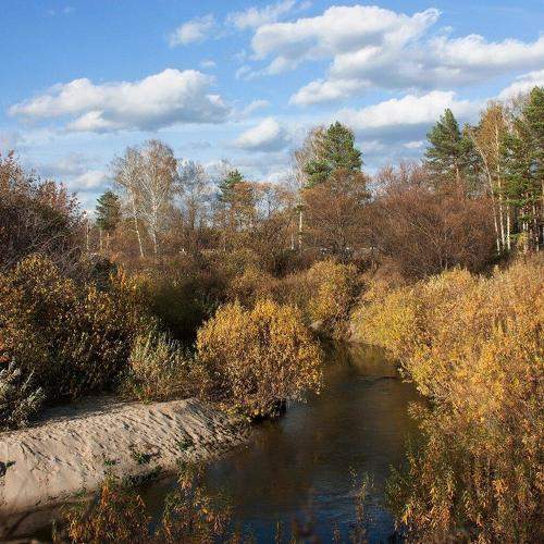 Photo #8304768