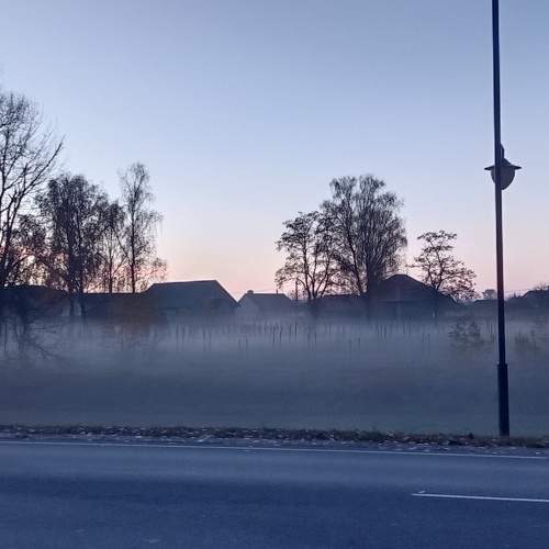 Photo #8304892