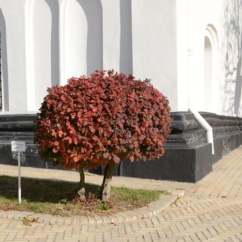 Photo #8305143