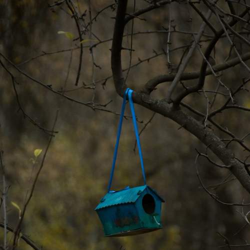 Photo #8305490
