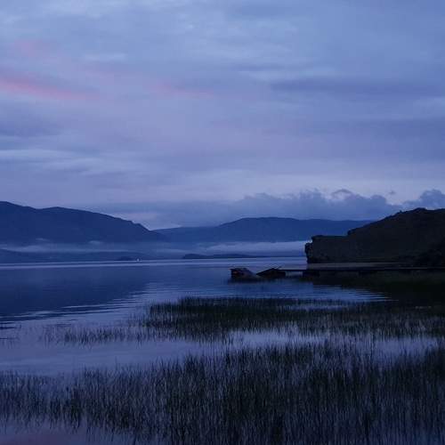 Photo #8305493