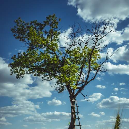 Photo #8305538