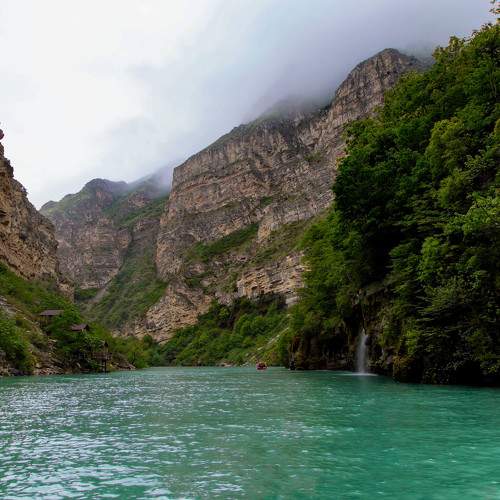 Photo #8305636