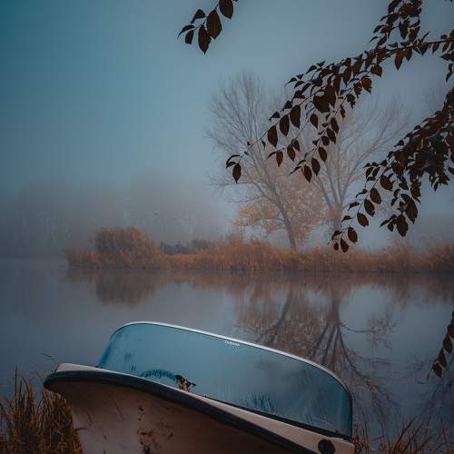 Photo #8305891