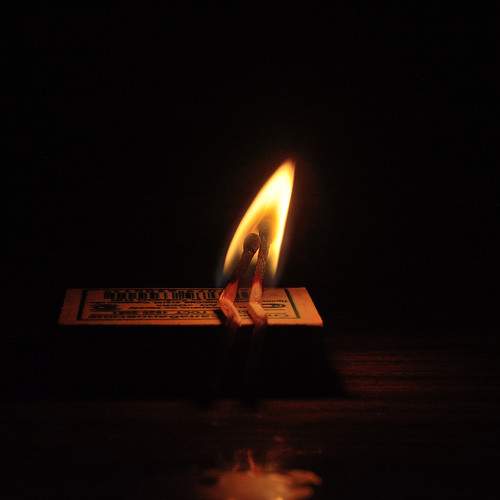 Photo #8305919