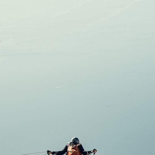 Photo #8306211