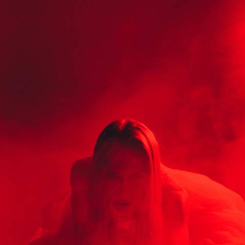 Photo #8306586