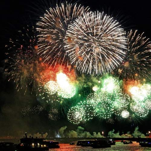 Photo #8306599