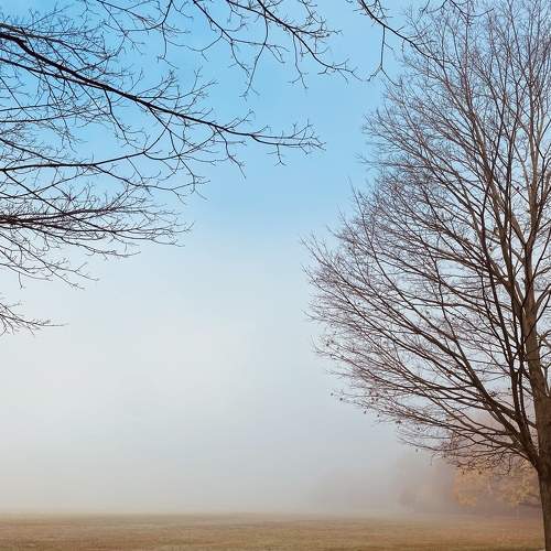 Photo #8306707