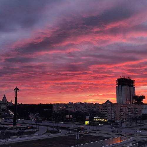 Photo #8306757